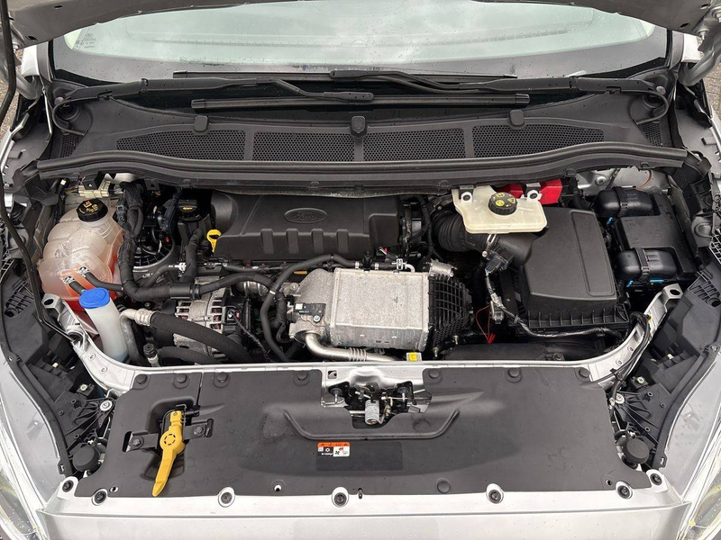 Ford S-Max S-Max 2.0 TDCi EcoBlue Business — photo 10