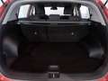 Kia Sportage 1.6 crdi m.hybrid Black Edition 2wd 136cv Rood - thumbnail 13