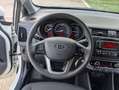 Kia Rio 1.2 Drive Blanco - thumbnail 14