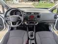 Kia Rio 1.2 Drive Blanco - thumbnail 13