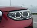 BMW X4 X4 G02 2018 xdrive20d Business Advantage auto my19 Rosso - thumbnail 9
