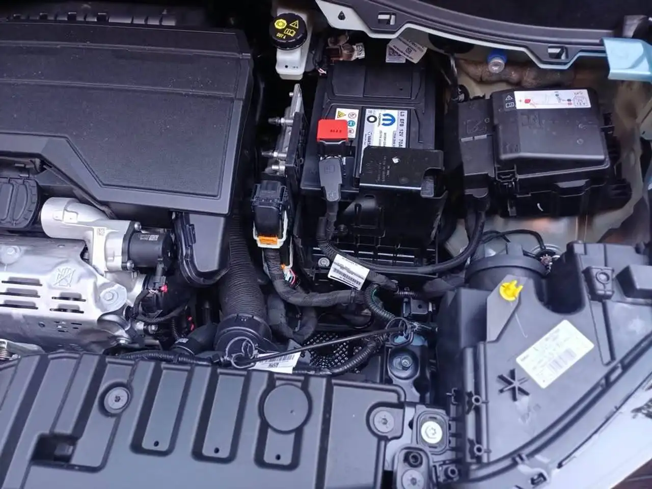 Fiat Grande Panda 2026