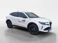 Alfa Romeo Junior Ibrida Speciale 1.2 MHEV e-DCT6 Weiß - thumbnail 17
