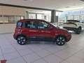 Fiat Panda Panda 1.0 FireFly S&S Hybrid Pandina Rot - thumbnail 6