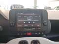 Fiat Panda Panda 1.0 FireFly S&S Hybrid Pandina Rot - thumbnail 20