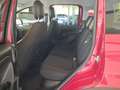 Fiat Panda Panda 1.0 FireFly S&S Hybrid Pandina Rot - thumbnail 16
