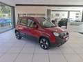 Fiat Panda Panda 1.0 FireFly S&S Hybrid Pandina Rot - thumbnail 7
