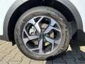 Kia Sportage 1.6 T-GDI AWD DCT VISION Blanco - thumbnail 17