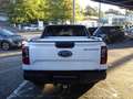 Ford Ranger Wildtrak e-4WD Doppelkabine,el.Rollo Blanc - thumbnail 3