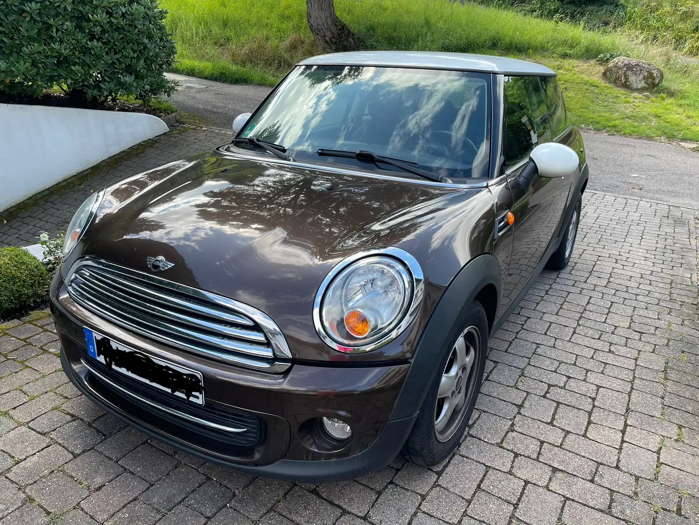 MINI Cooper SU31 Bruin - 1