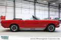 Ford Mustang 289cui V8 Cabriolet aufwändig restauriert Rot - thumbnail 13