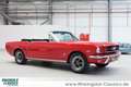 Ford Mustang 289cui V8 Cabriolet aufwändig restauriert Rot - thumbnail 15
