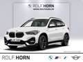BMW X1 xDrive25e Sport Line Navi LED RFK HiFI Klima Weiß - thumbnail 1