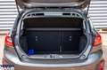 Ford Fiesta Fiesta 5p 1.1 Titanium 75cv - thumbnail 8
