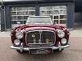 Rover Sonstige P5 3.0 Automatik H-Zulassung Rot - thumbnail 3