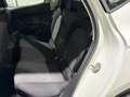 SEAT Ibiza Cool&SoundPaket*Front assist*Multi Collision Brake Weiß - thumbnail 14