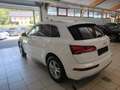 Audi Q5 Qu S-line Sport,Matrix,Head up D.Luftfederung,ACC Weiß - thumbnail 7