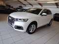 Audi Q5 Qu S-line Sport,Matrix,Head up D.Luftfederung,ACC Weiß - thumbnail 6