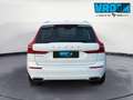 Volvo XC60 T6 PHEV Hybrid AWD Inscription Expression Blanc - thumbnail 5