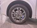 Ford Kuga ST-Line 2.5 Duratec PHEV 165kW Auto 225CV Blanco - thumbnail 11