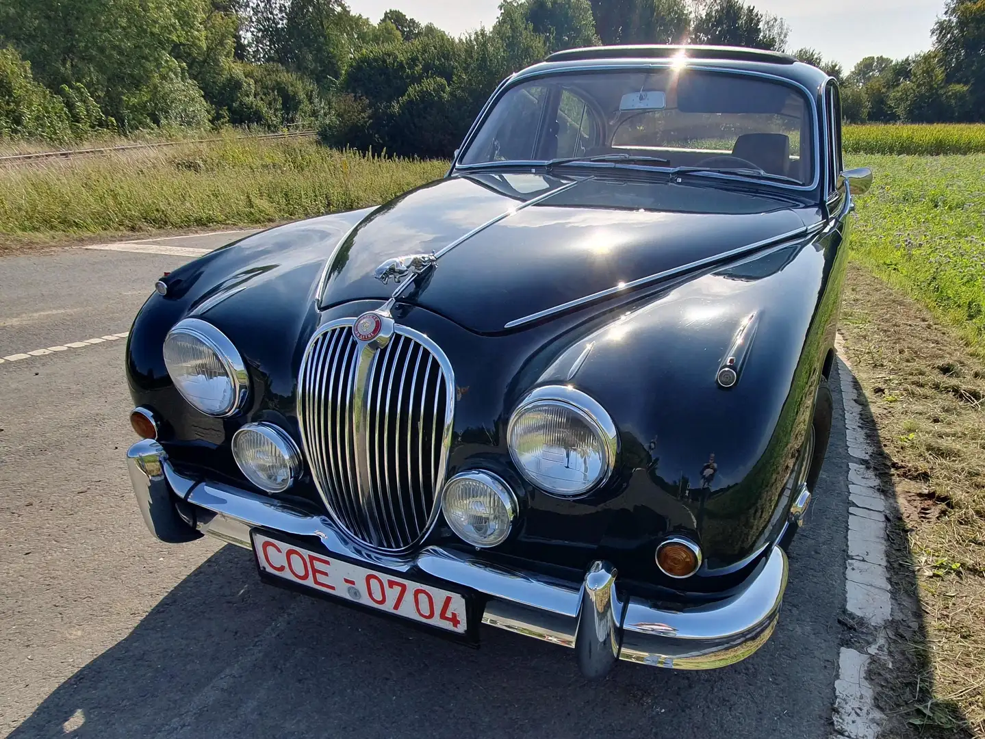 Jaguar MK II 3,8 Liter Linkslenker Schiebedach Vert - 1