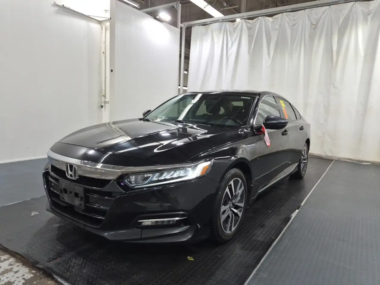 Honda Accord fotografie Honda Accord