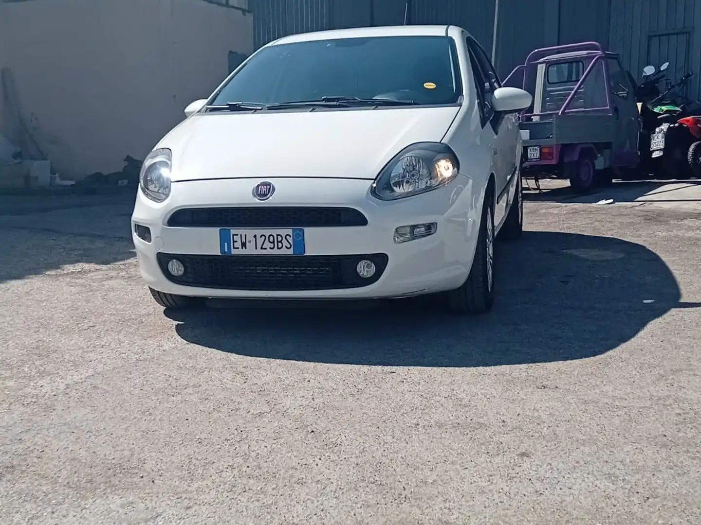 Fiat Punto Evo 5p 1.3 mjt Active s&s 75cv Bianco - 1