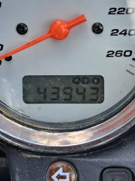 Honda CB 600 F Hornet - foto 8