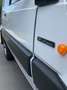 Fiat Panda Panda 4X4 scioneri Blanc - thumbnail 7