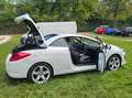 Peugeot 308 308 CC 155 THP Roland Garros Alb - thumbnail 15