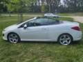 Peugeot 308 308 CC 155 THP Roland Garros Alb - thumbnail 13