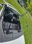 Peugeot 308 308 CC 155 THP Roland Garros Alb - thumbnail 7