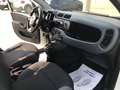 Fiat Panda 1.3 MJT 95 CV S&S Easy Weiß - thumbnail 14