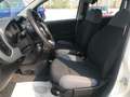 Fiat Panda 1.3 MJT 95 CV S&S Easy Weiß - thumbnail 12
