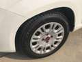 Fiat Panda 1.3 MJT 95 CV S&S Easy Weiß - thumbnail 5