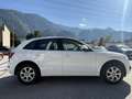 Audi Q5 2.0 TDI quattro S-Tronic Weiß - thumbnail 7