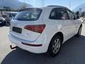 Audi Q5 2.0 TDI quattro S-Tronic Weiß - thumbnail 6