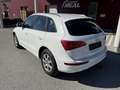 Audi Q5 2.0 TDI quattro S-Tronic Weiß - thumbnail 5