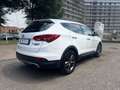 Hyundai SANTA FE 2.2 crdi Style 4wd auto Bianco - thumbnail 5