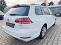 Volkswagen Golf 1.6 TDI|Klima|Massagesitze|Navi|Tempomat|1H Weiß - thumbnail 6