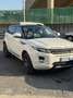 Land Rover Range Rover Evoque Renge Rover Evoque 2.2 Tetto panoramico - thumbnail 4