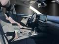 Ford Focus Titanium x MHEV LED Schein. B&O Winter Pa. Blanc - thumbnail 8