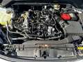 Ford Focus Titanium x MHEV LED Schein. B&O Winter Pa. Blanc - thumbnail 16
