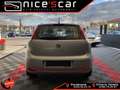 Fiat Punto Punto 1.2 8V 5 porte Street Grigio - thumbnail 5