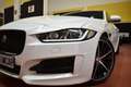 Jaguar XE 2.0 Diesel R-Sport Aut. 180 Weiß - thumbnail 7