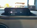Mazda CX-30 2.0L e-Skyactiv-G 150 CV M Hybrid 2WD Exceed Grau - thumbnail 20
