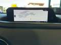 Mazda CX-30 2.0L e-Skyactiv-G 150 CV M Hybrid 2WD Exceed Grau - thumbnail 22