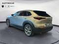 Mazda CX-30 2.0L e-Skyactiv-G 150 CV M Hybrid 2WD Exceed Grau - thumbnail 3