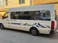 Volkswagen Crafter 35 2.0TDI Bmotion Tech Largo Blanco - thumbnail 4