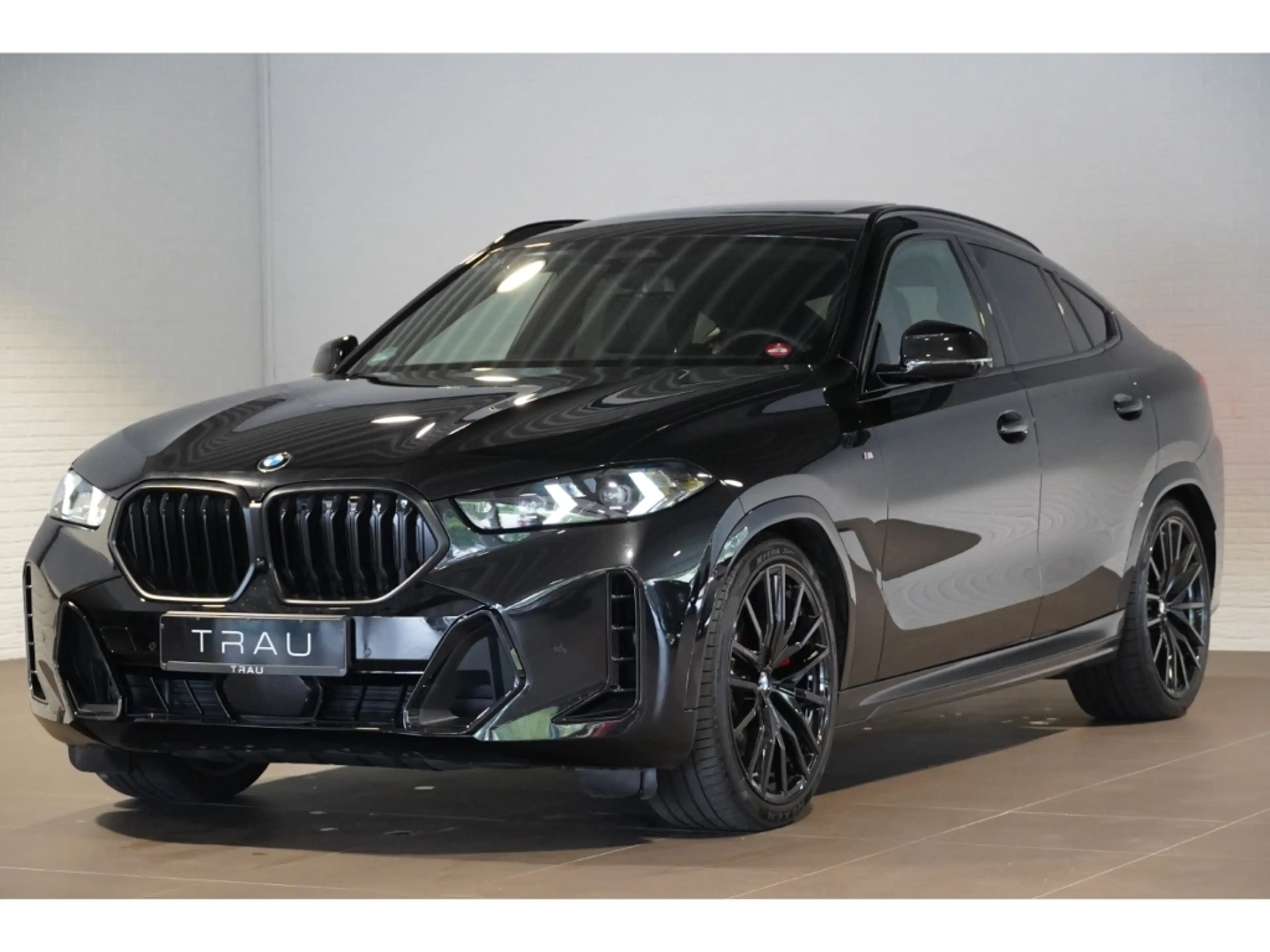 BMW X6 40d M Sport Pro Pano-Sky Comf.Paket+ AHK H&K — photo 3